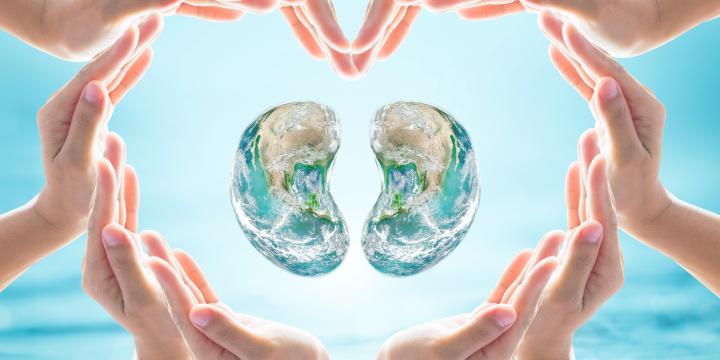 world-kidney-day