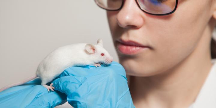 animal-testing