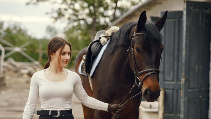 Girl and horse
