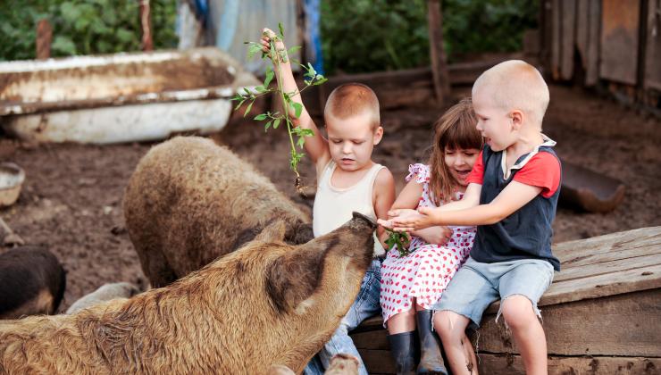 werelddierendag-kinderen-met-varkentjes